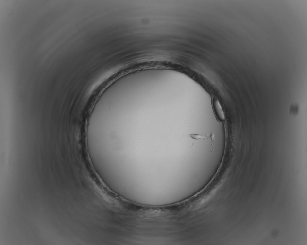 X0000093510826200710121101