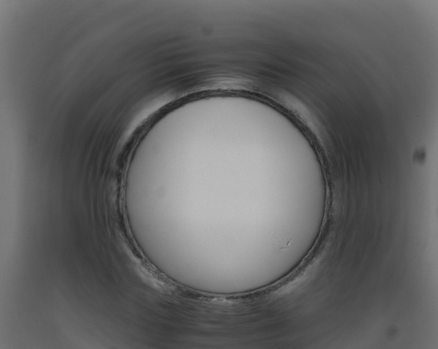 X0000093510827200710121101