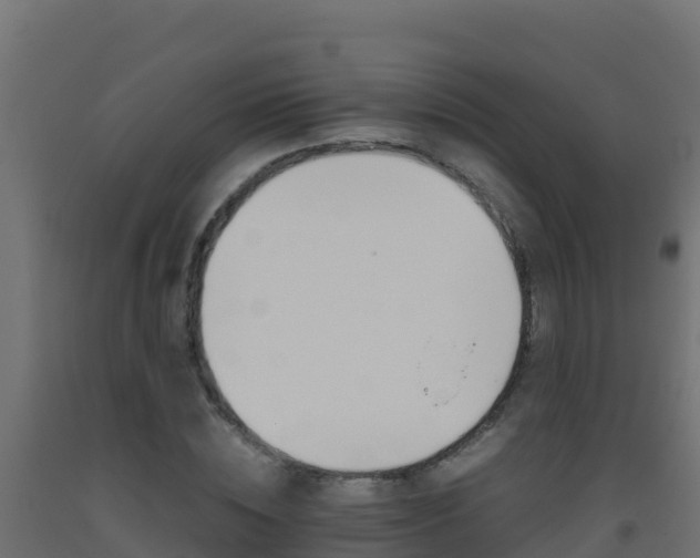 X0000093510828200710121101