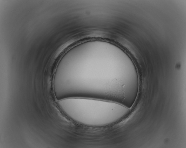 X0000093510829200710121101