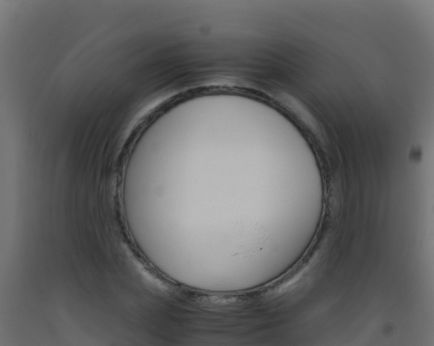 X0000093510831200710121101