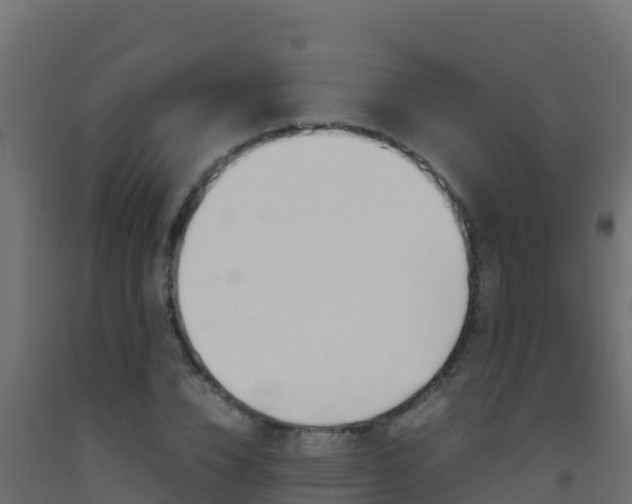 X0000093510832200710121101