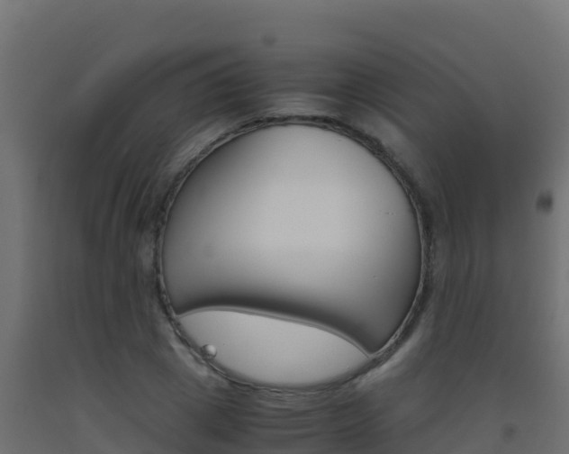 X0000093510833200710121101
