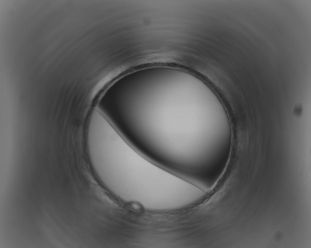 X0000093510834200710121101