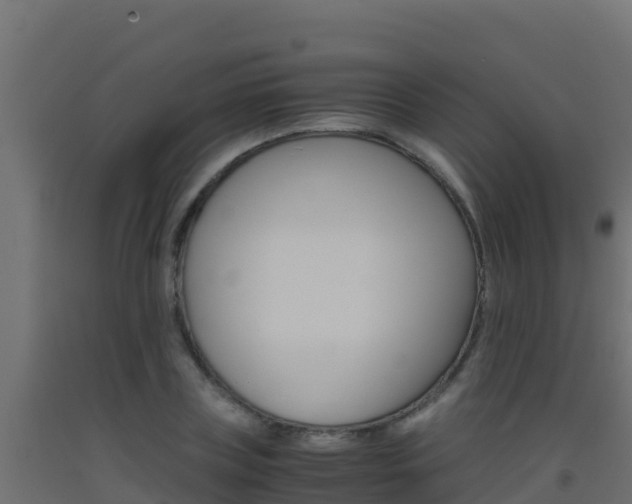 X0000093510835200710121101