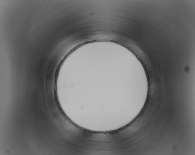 X0000093510836200710121101