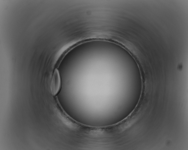 X0000093510838200710121101