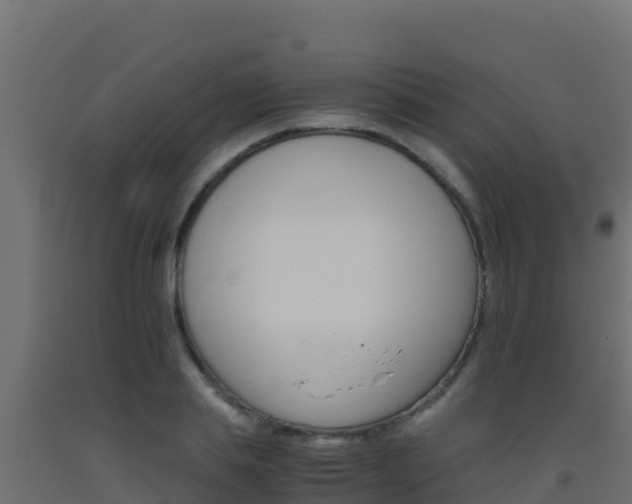 X0000093510839200710121101
