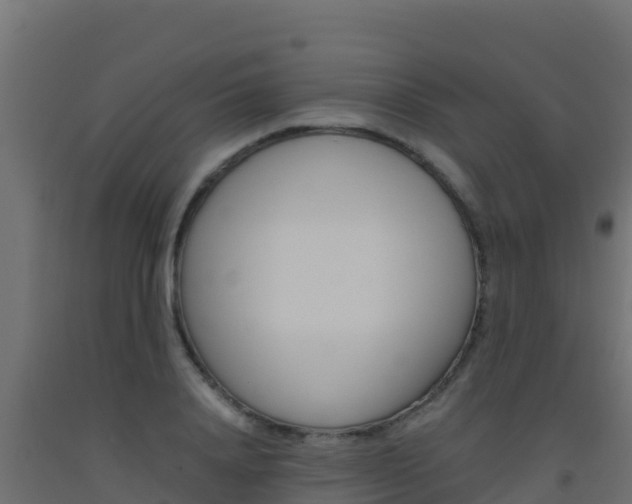 X0000093510840200710121101