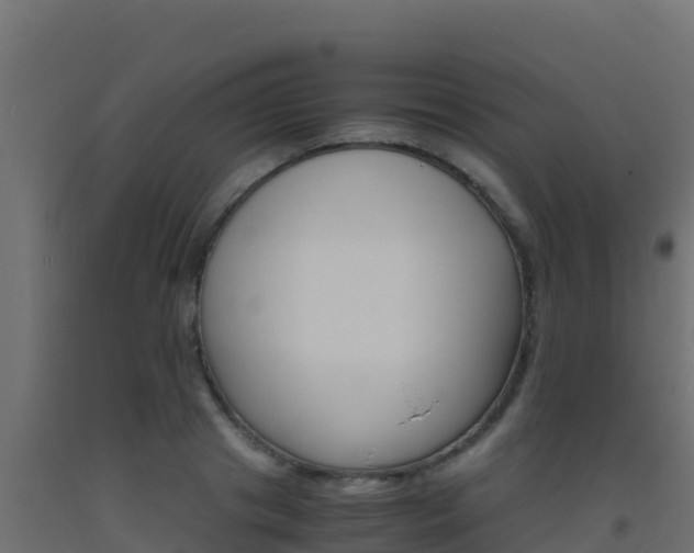 X0000093510841200710121101