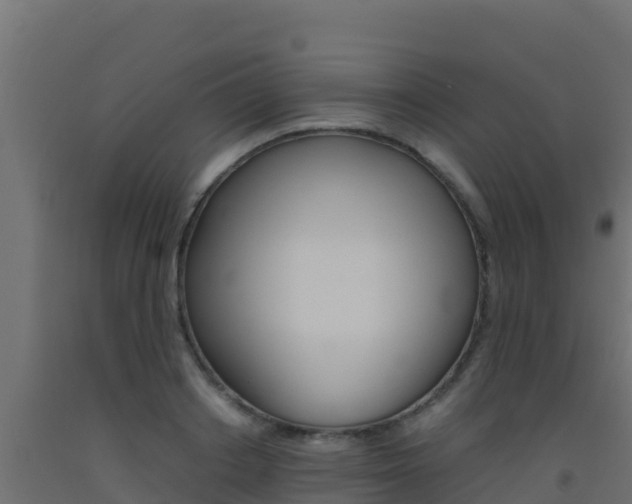 X0000093510842200710121101