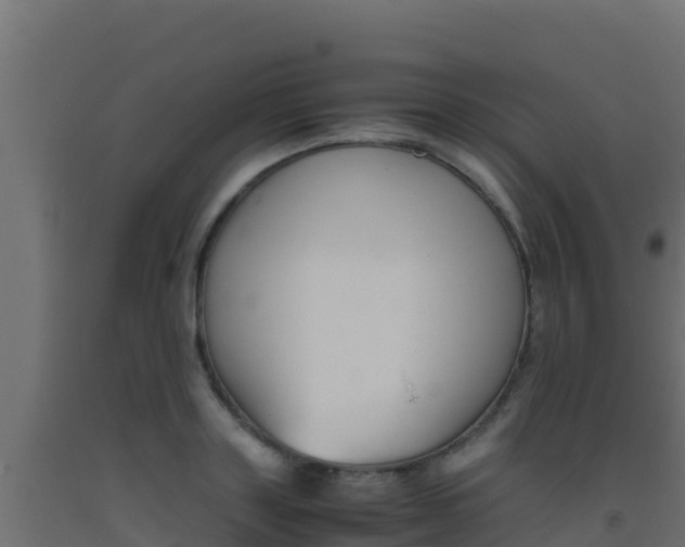 X0000093510843200710121101