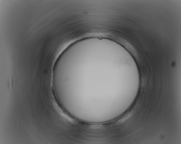 X0000093510844200710121101