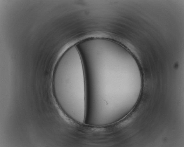X0000093510845200710121101