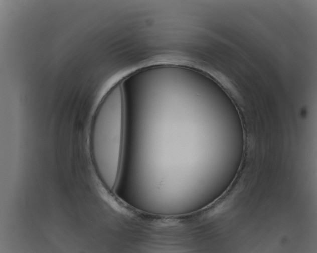 X0000093510846200710121101