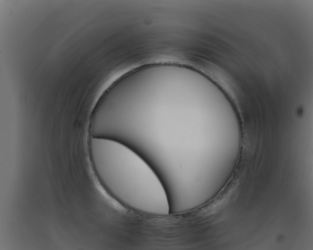 X0000093510847200710121101