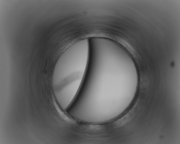X0000093510849200710121101