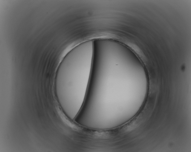 X0000093510850200710121101