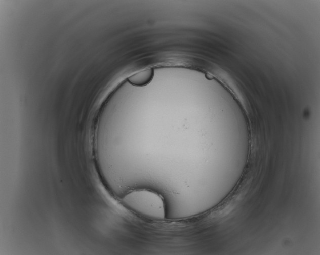 X0000093510851200710121101