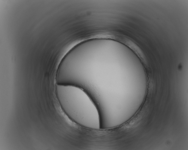 X0000093510852200710121101