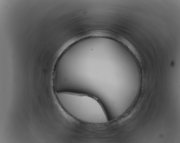 X0000093510853200710121101