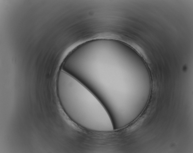 X0000093510854200710121101