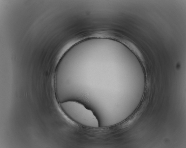X0000093510855200710121101
