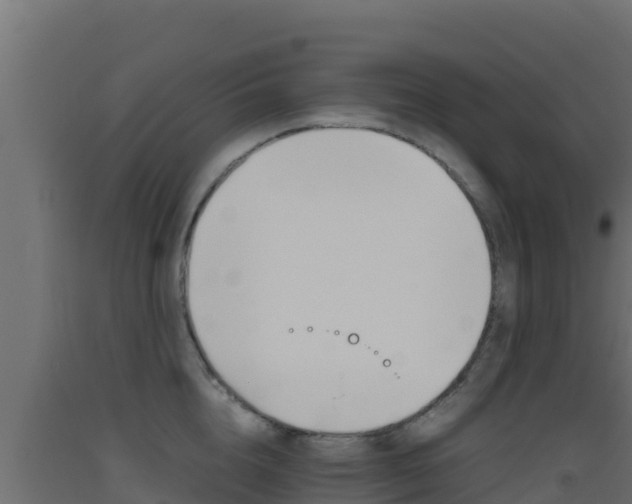 X0000093510856200710121101
