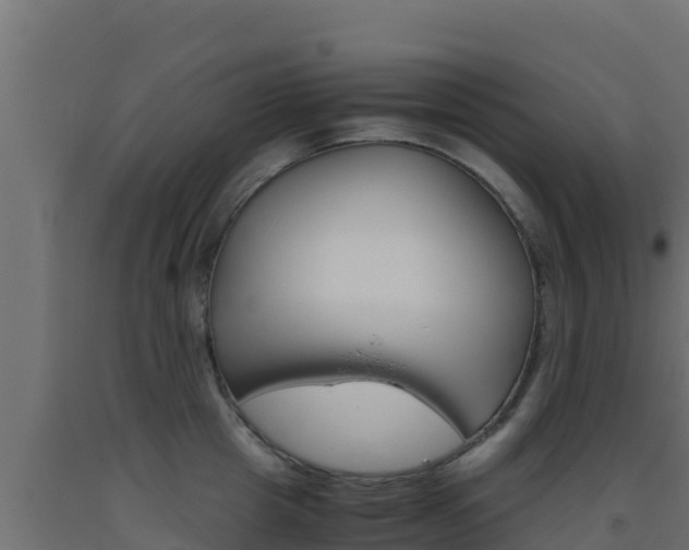 X0000093510857200710121101