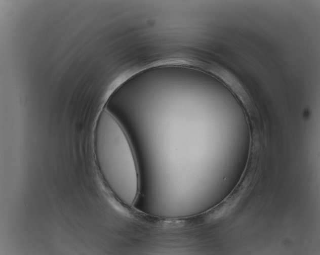 X0000093510858200710121101