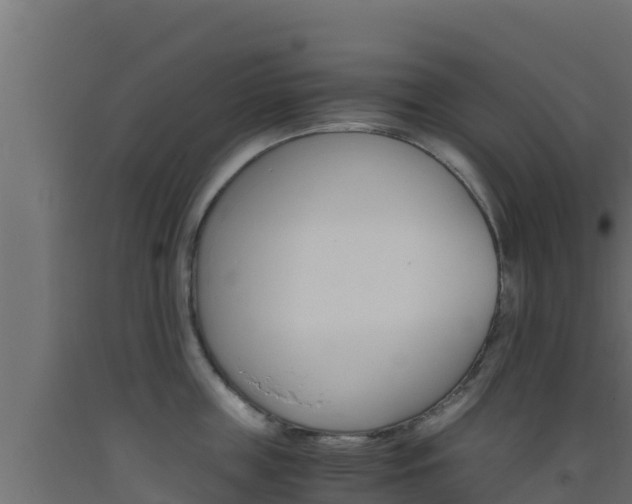 X0000093510859200710121101