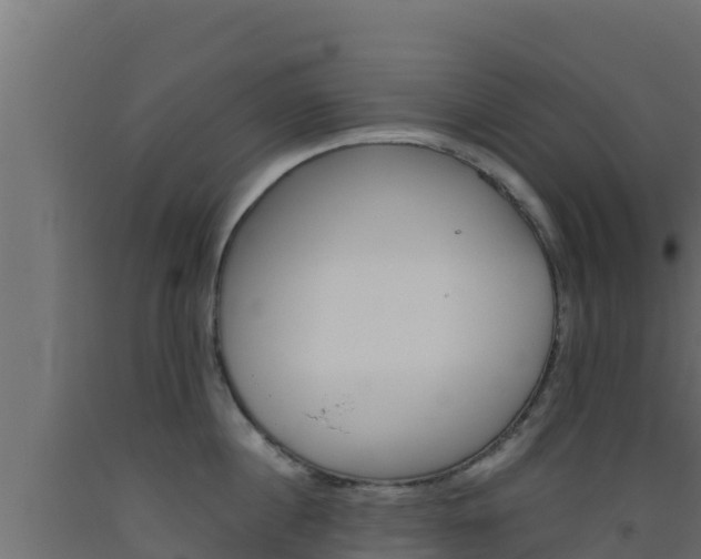 X0000093510860200710121102