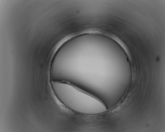 X0000093510861200710121102