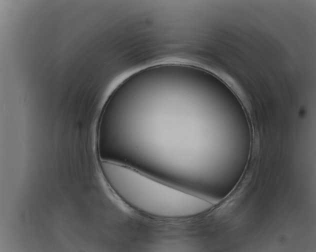 X0000093510862200710121102