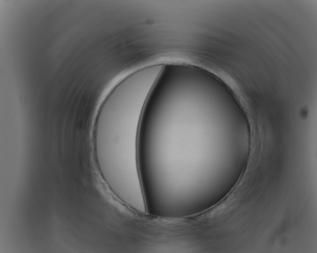 X0000093510864200710121102