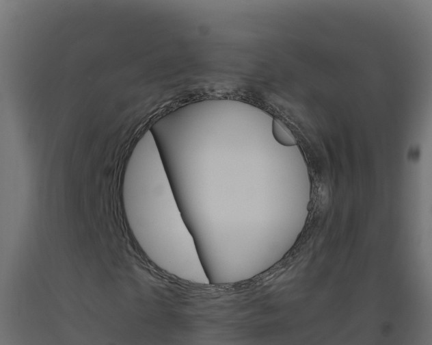 X0000093510865200710121101