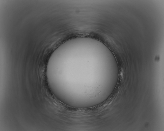 X0000093510867200710121101