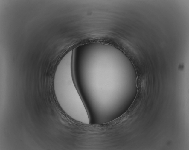 X0000093510868200710121101