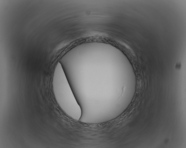 X0000093510869200710121101