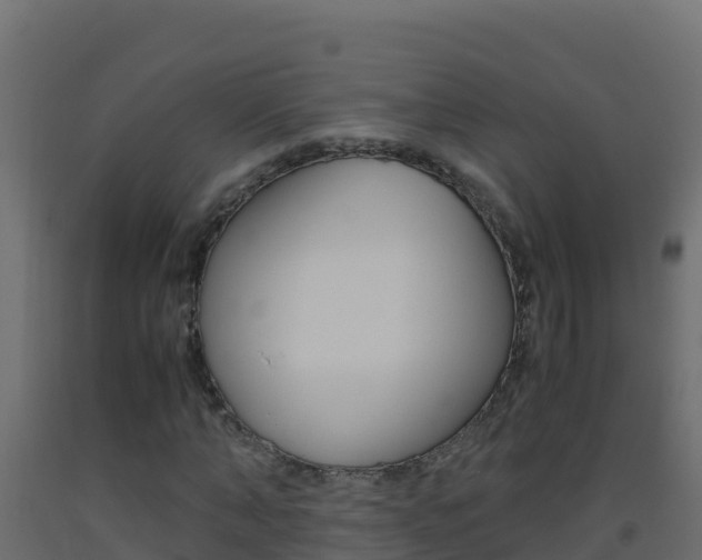 X0000093510870200710121101