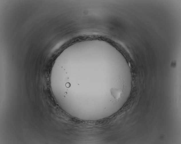 X0000093510871200710121101