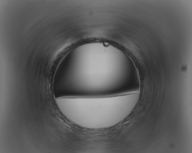 X0000093510872200710121101