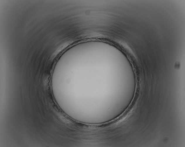 X0000093510873200710121101