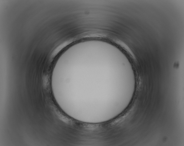 X0000093510874200710121101