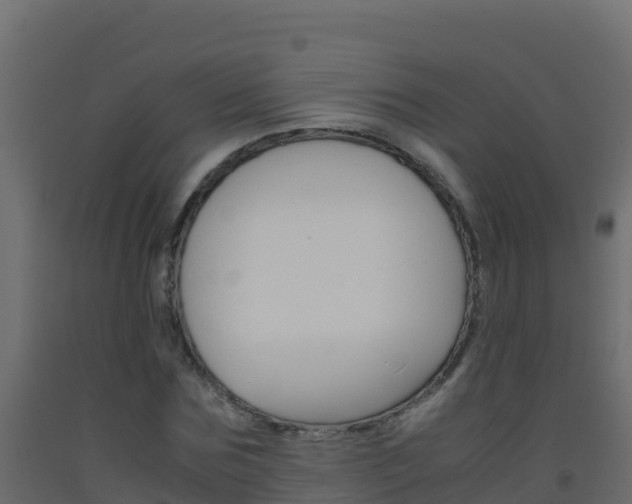X0000093510875200710121101