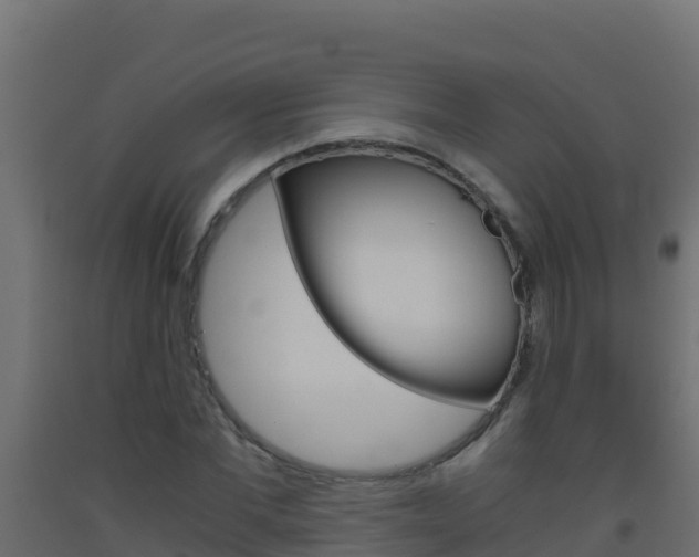X0000093510877200710121101