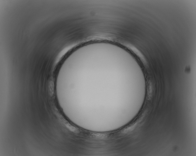 X0000093510878200710121101