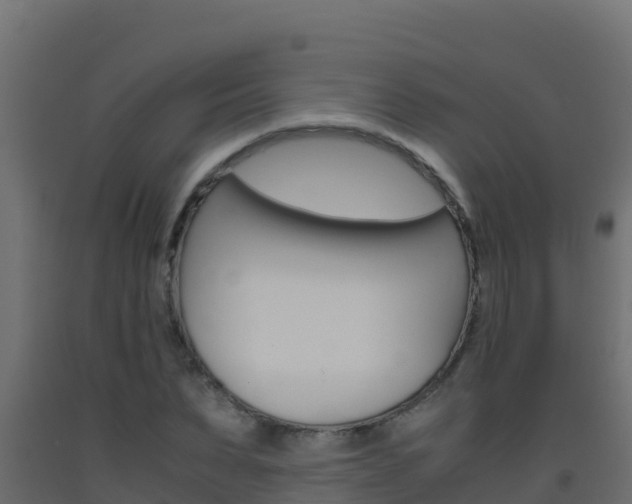 X0000093510879200710121101