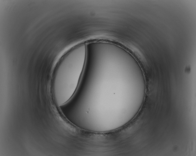 X0000093510880200710121101