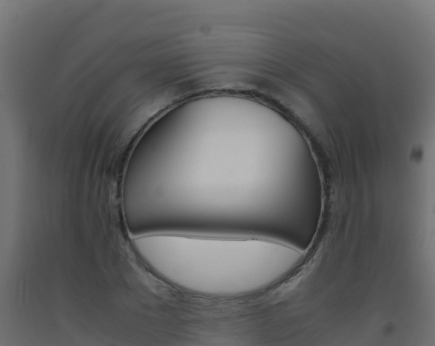 X0000093510881200710121101